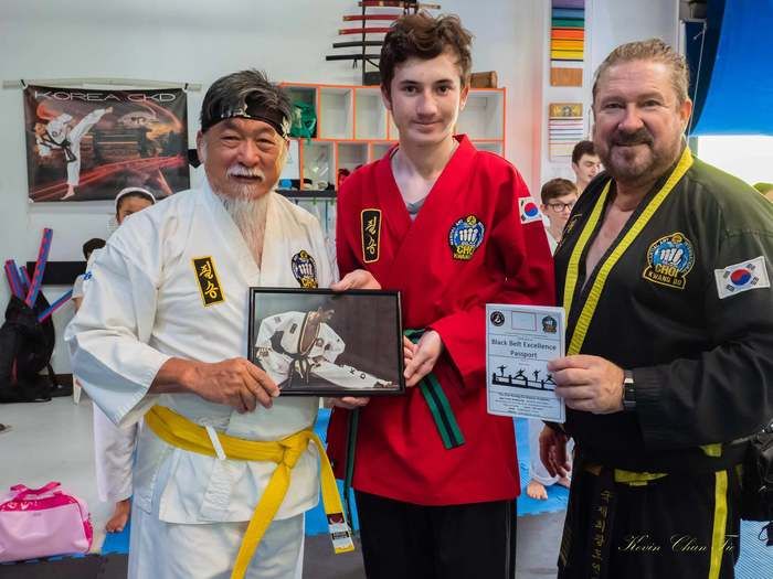 <center>Martial Arts:A Foundation For Healthy Adult Living<center>